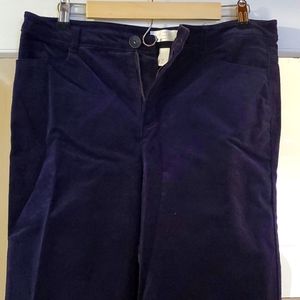 NWOT Lauren Conrad Flood Length Purple Velvet Corduroy Wide Bottom Pants